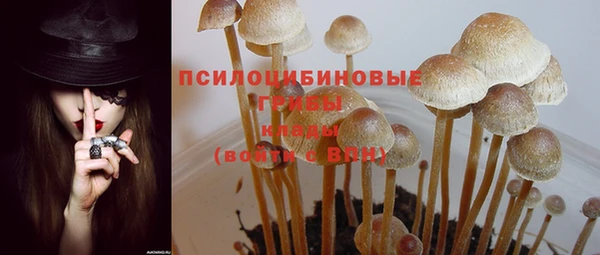 крисы Бронницы