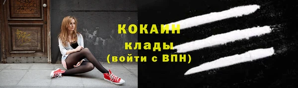 крисы Бронницы