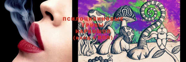 крисы Бронницы