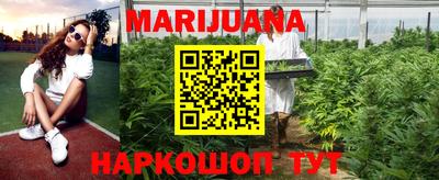 гидра Бийск