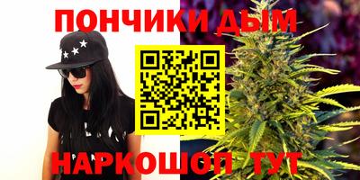 МДПВ Бийск