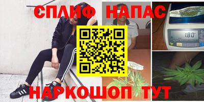 амф Берёзовский