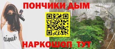 МДПВ Бийск