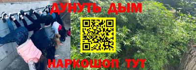 гидра Бийск