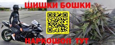 МДПВ Бийск