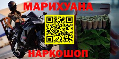 МДПВ Бийск