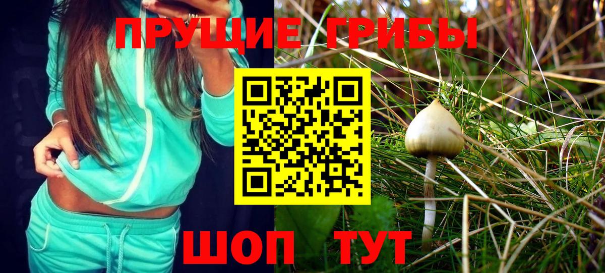 Псилоцибиновые грибы MAGIC MUSHROOMS  Псилоцибиновые грибы мухоморы  купить  цена  Вход с VPN  Воркута 